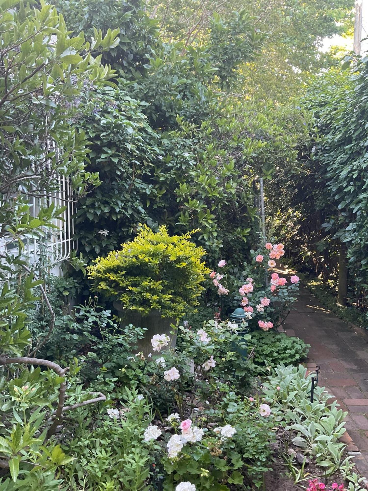 开普敦桑当旅舍住宿加早餐旅馆 外观 照片